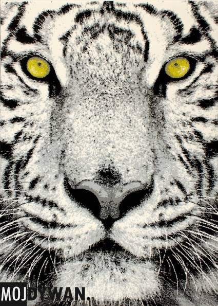 Dywan
Flash Modern Tigre szary (7135)