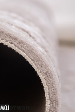 Dywan Galeria INT Galeria-240-340 Dywan GL040C vizon/vizon 